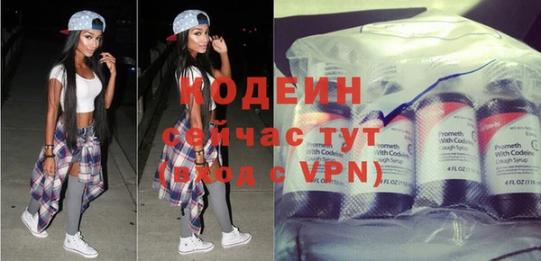 гашик Нея